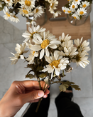 بوته بابونه مصنوعی