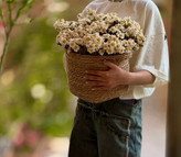 بوته بابونه مصنوعی