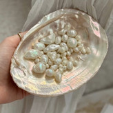 صدف مرواريدساز طبيعي